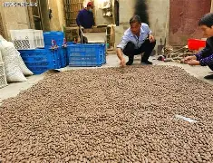 九游app下载-J4=n轆'┥乇6J″榧?